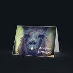 Black Llama Animal Funny Birthday  Karte<br><div class="desc">Niedliches schwarzes Lamm steht nah.  Landwirtschaftliche Tierfotografie von Susan.  Klicken Sie auf Anpassen,  um Text hinzuzufügen und Schriftart,  Stil und Farbe zu ändern.</div>