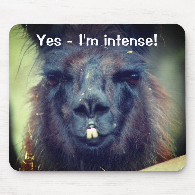 Black Llama I'm Intense Funny Animal Mousepad (Vorne)
