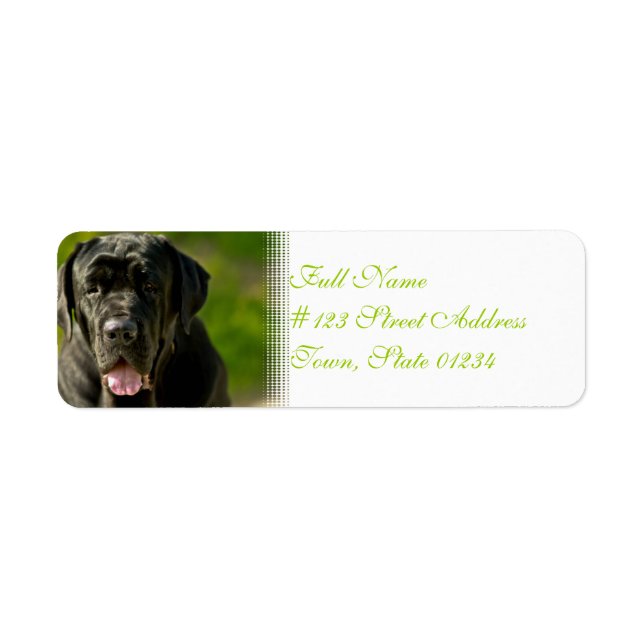 Black Mastiff Mailing Labels (Vorne)