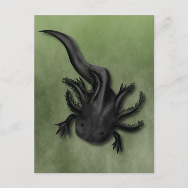 Black Melanoid Axolotl Art Postkarte (Vorderseite)