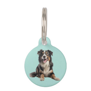 Black Merle Australian Shepherd Haustiermarke