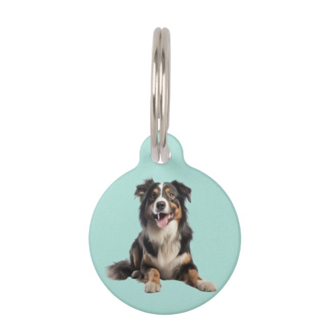 Black Merle Australian Shepherd | Haustiermarke (Vorderseite)