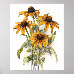 Black Mit Augen Susan Blume Art Print Poster