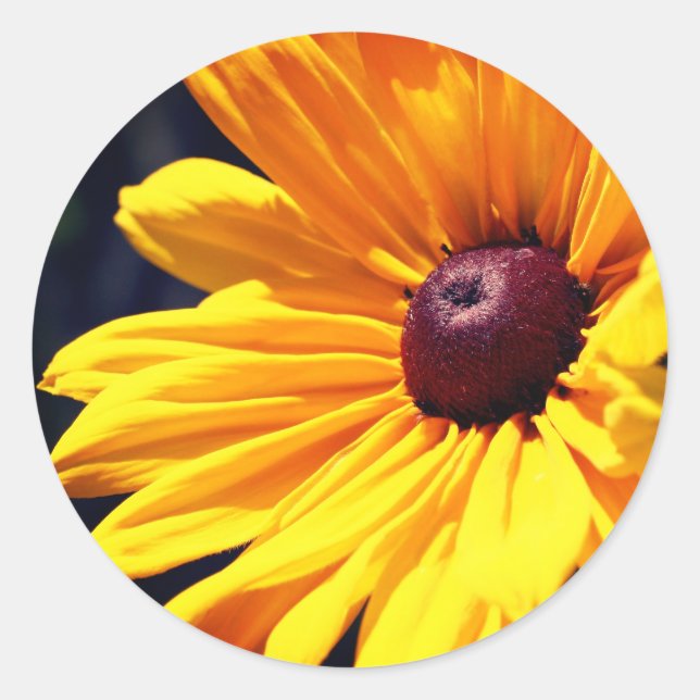 Black Mit Augen Susan Blume Runder Aufkleber (Vorderseite)