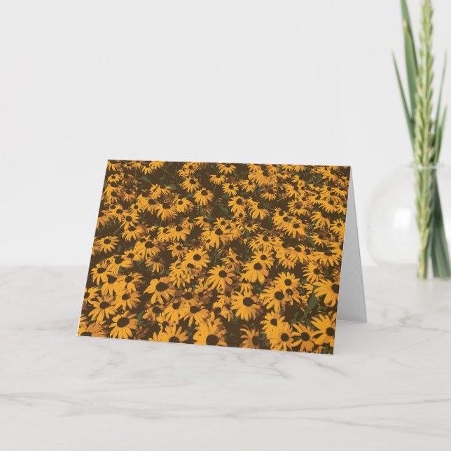 Black Mit Augen Susan Wild Blume Daisy Garden Gelb Karte (Vorderseite)
