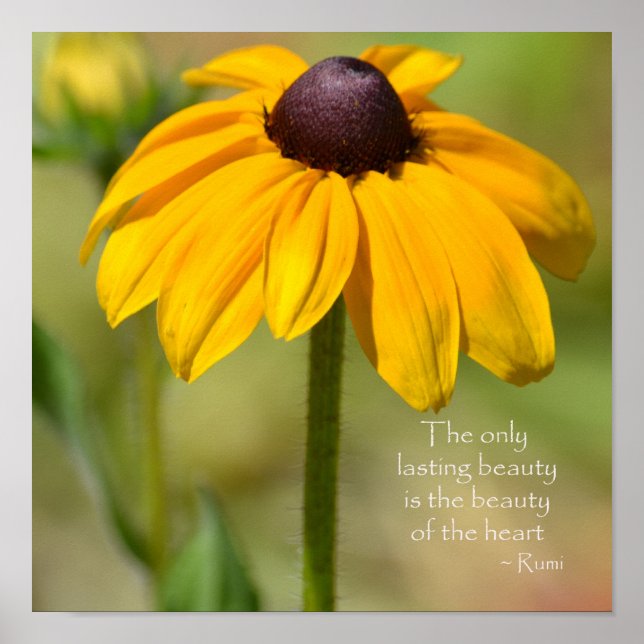 Black Mit Augen Susan Yellow Blume Rumi Zitat Poster (Vorne)