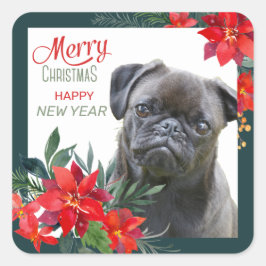 Black Mops Dog Poinsettia Bouquet Weihnachten Quadratischer Aufkleber