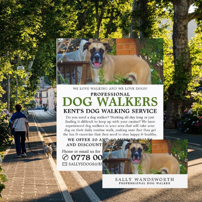 Black Mouth Cur, Dog Walker Service Advertising Flyer (Von Creator hochgeladen)