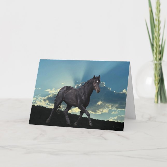 Black Mustang Stallion Faltenkarte Karte (Vorderseite)