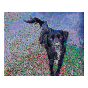 Black Mutt Digital Portrait Poster
