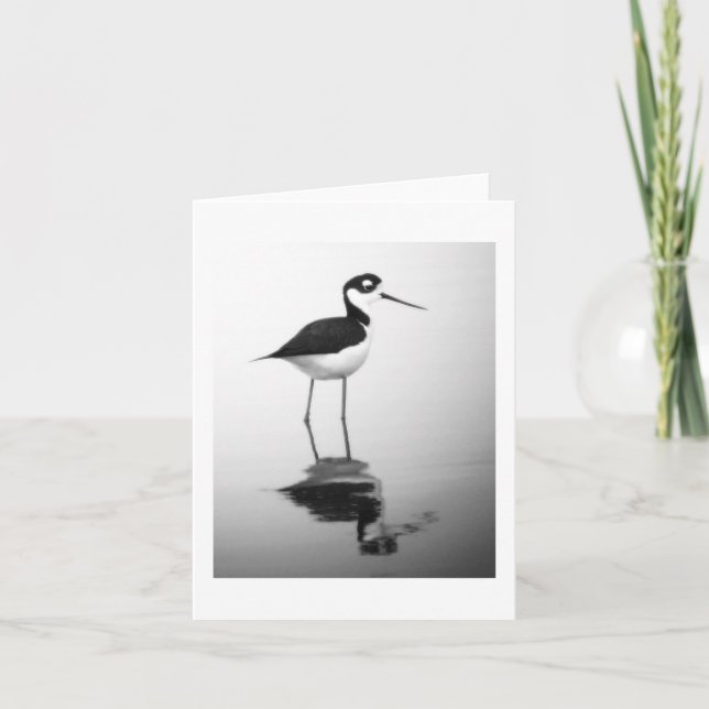 Black-necked Stilt Notecard Karte (Vorderseite)