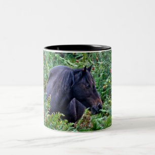 Black New Forest Pony Hampshire, England Zweifarbige Tasse