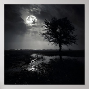 Black noir noir noir photo paysage lune Poster