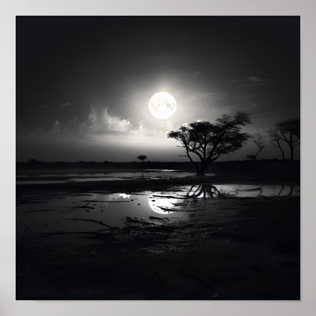 Black noir noir noir photo paysage lune Poster (Devant)