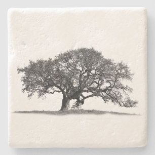 BLACK OAK BAUM STEINUNTERSETZER