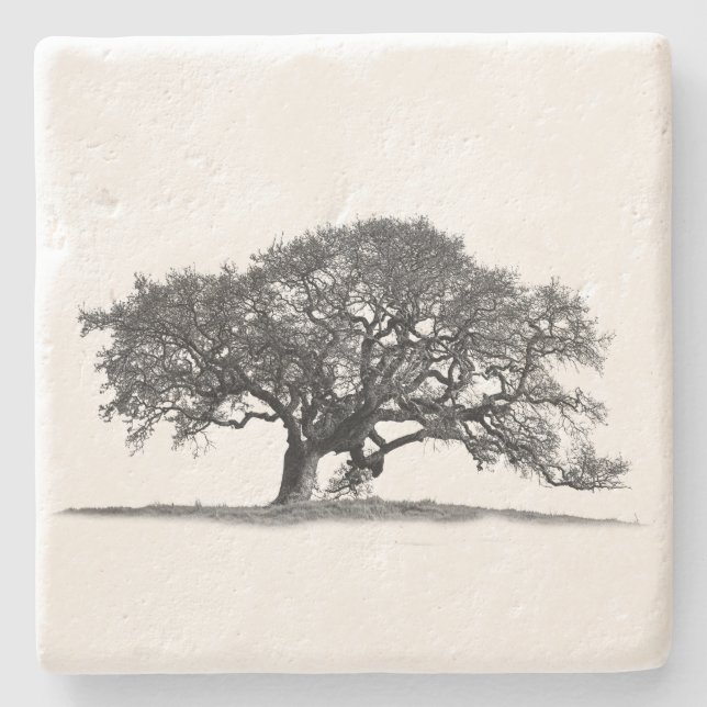 BLACK OAK BAUM STEINUNTERSETZER (Vorderseite)