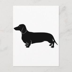 Black on White Dachsund Postkarte