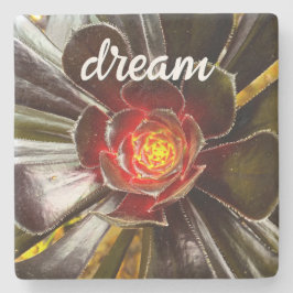 Black Orange Cactus Succulent Foto Dream Script Steinuntersetzer