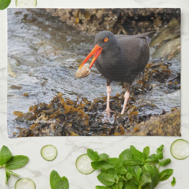 Black Oystercatcher Shorebird Fischen am Strand Handtuch (Gefaltet)