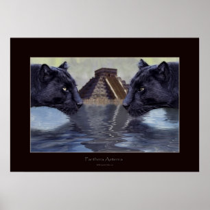 BLACK PANTHER & CHICHEN ITZA Art Poster