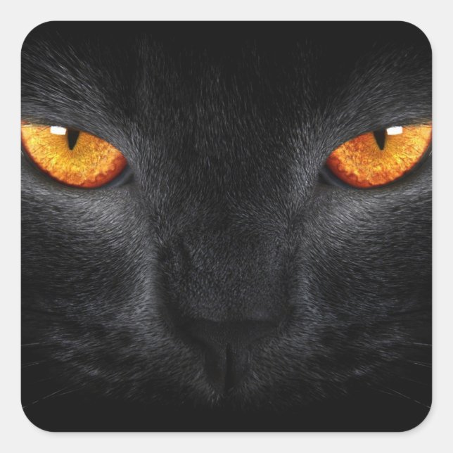 Black Panther Eyes Quadratischer Aufkleber (Vorderseite)