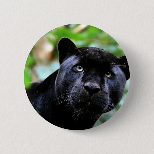 Black Panther Macro Button (Vorderseite)