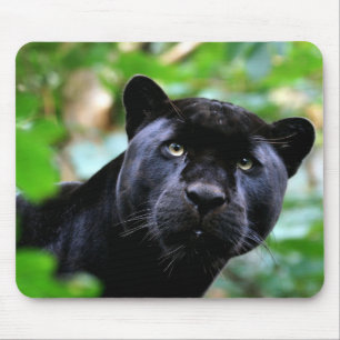 Black Panther Macro Mousepad