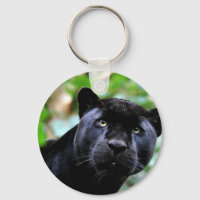 Black Panther Macro