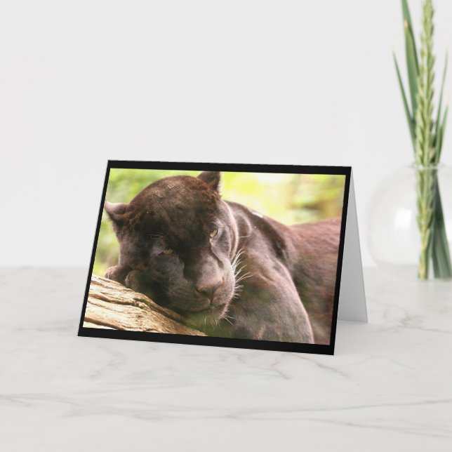 Black Panther Sleeping Grußkarte Karte (Vorderseite)