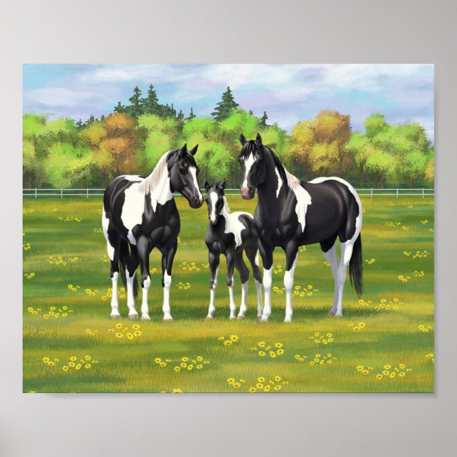 Black Pinto Paint Quarter Horses In Summer Pasture Poster (Vorne)