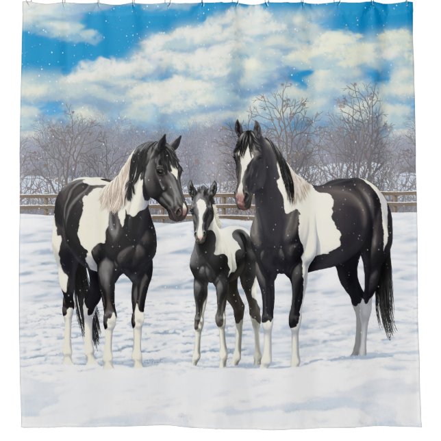 Black Pinto Quarter Pferde Paint Pferde im Schnee Duschvorhang (Vorderseite)