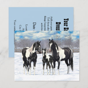 Black Pinto Quarter Pferde Paint Pferde im Schnee Einladung
