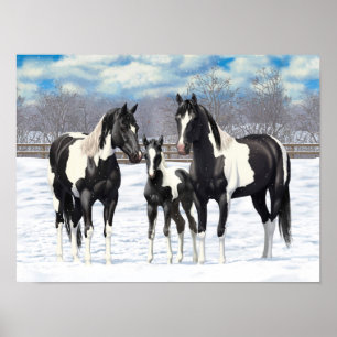 Black Pinto Quarter Pferde Paint Pferde im Schnee Poster