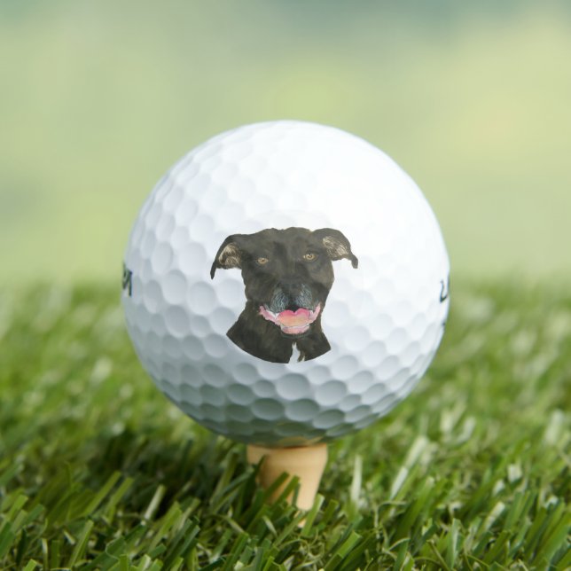 Black Pitbull Staffy Dog Golfball (Insitu T-Shirt)