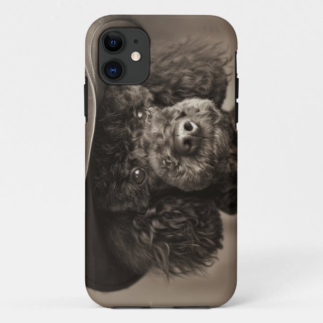 Black Poodle als Cowboy Halloween-Kostüm verkleide Case-Mate iPhone Hülle (Rückseite)