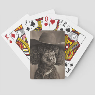 Black Poodle als Cowboy Halloween-Kostüm verkleide Spielkarten