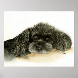 Black Poodle Dog Poster