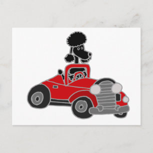 Black Poodle Driving Red Convertible Car Postkarte