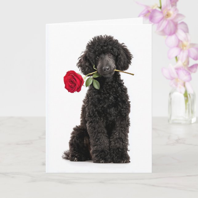 Black Poodle Puppy Valentine – Sweet Devotion Karte (Orchidee)