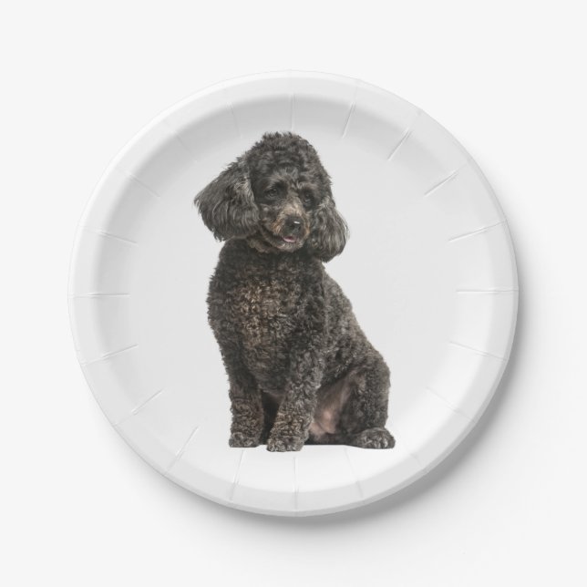 Black Poodle Welpe Hund Hochzeit Geburtstag Pappteller (Vorderseite)