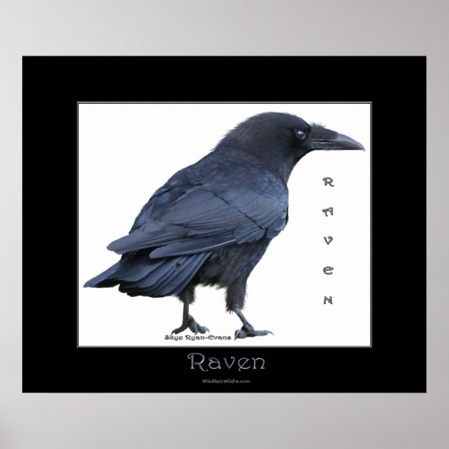 BLACK RAVEN Art Poster (Vorne)