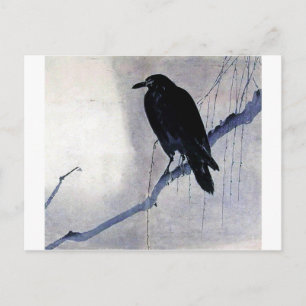Black Raven Bird Postkarte