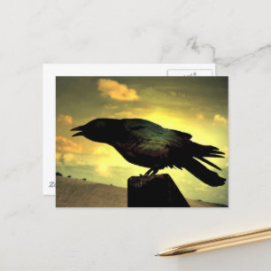 Black Raven Postkarte
