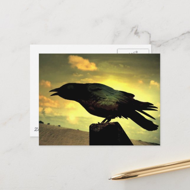 Black Raven Postkarte (Vorderseite/Rückseite Beispiel)