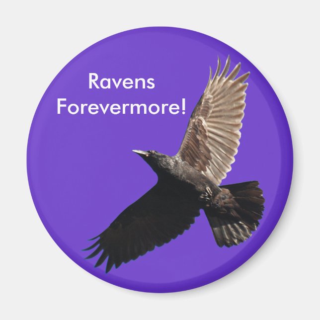 Black Raven Series Magnet (Vorne)