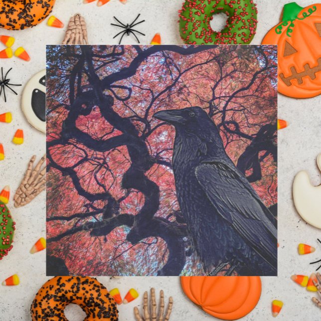 Black Raven und Gnarly Japanese Maple Tree Serviette (In Situ Halloween)