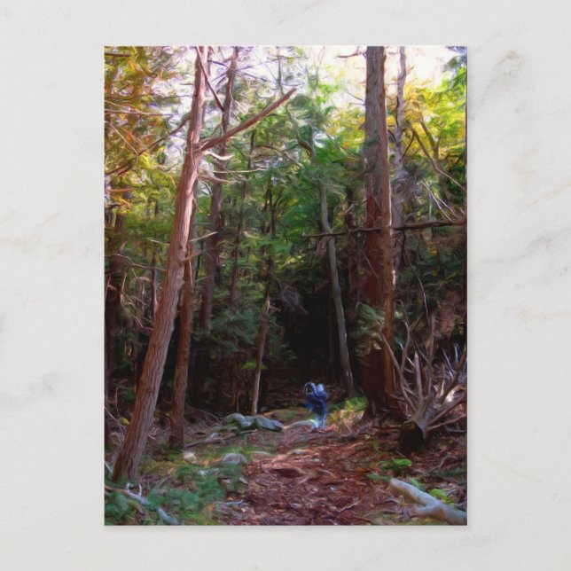 Black Rock Trails, Harriman Staat Park, New York Postkarte (Vorderseite)