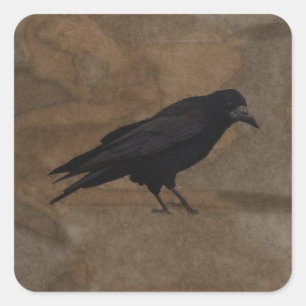 Black Rook British Corvid und rustikaler Hintergru Quadratischer Aufkleber