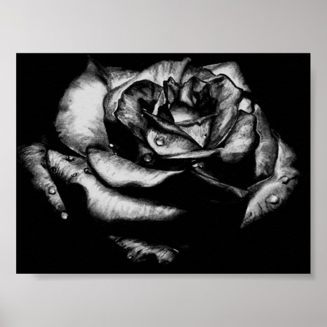 Black Rose Poster (Vorne)