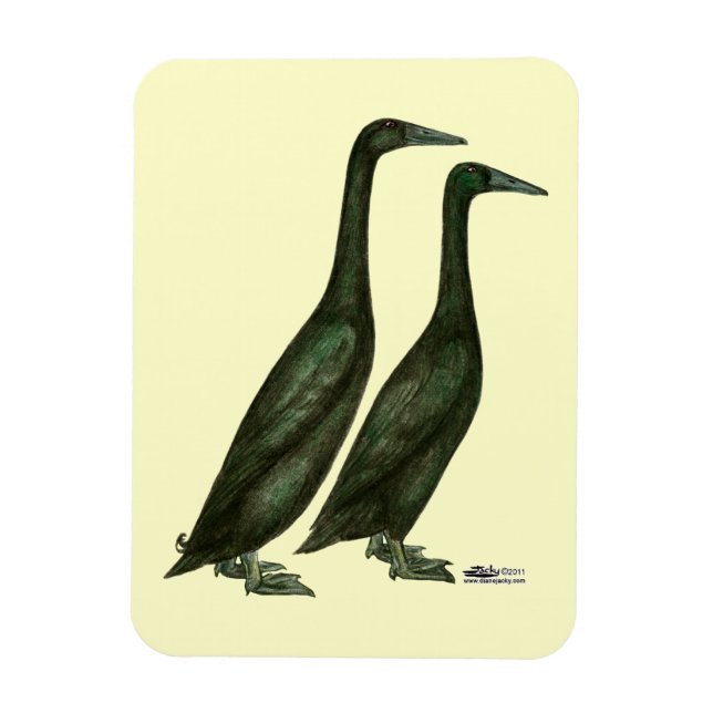 Black Runner Ducks Magnet (Vertikal)
